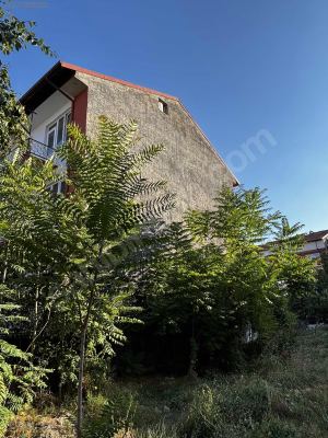 ORMAN BÖLGE MÜDÜRLÜĞÜ ARKASI 4 KATLI SATILIK BİNA - fotoğraf 16