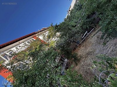 ORMAN BÖLGE MÜDÜRLÜĞÜ ARKASI 4 KATLI SATILIK BİNA - fotoğraf 3